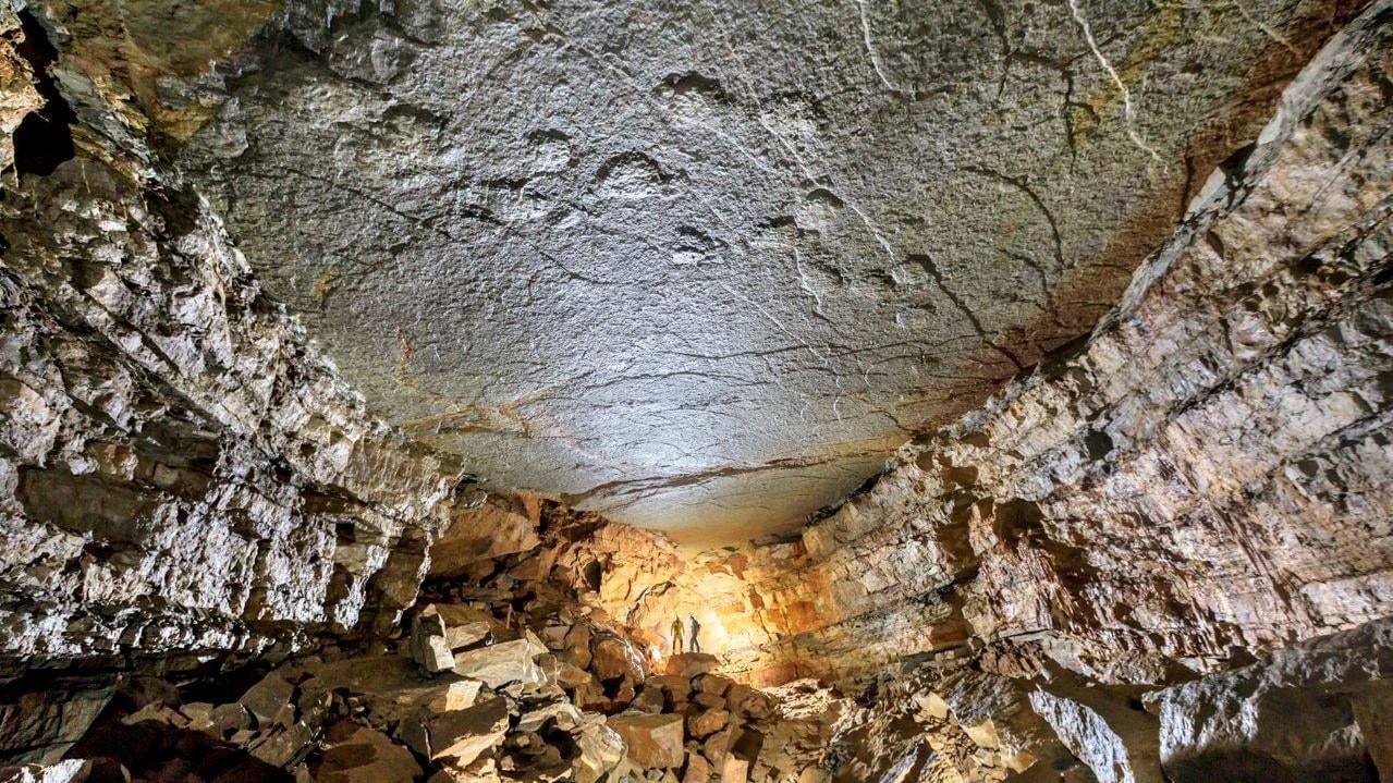 Photo: Rémi Flament / Journal of Vertebrate Paleontology