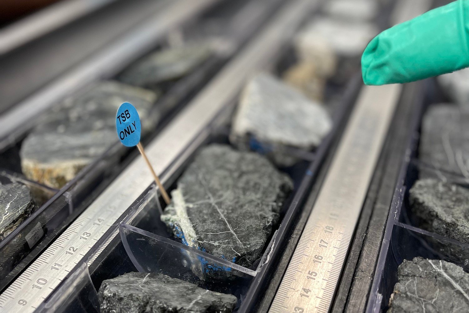 Photo of a portion of a core sample taken from the Atlantic Ocean seafloor.