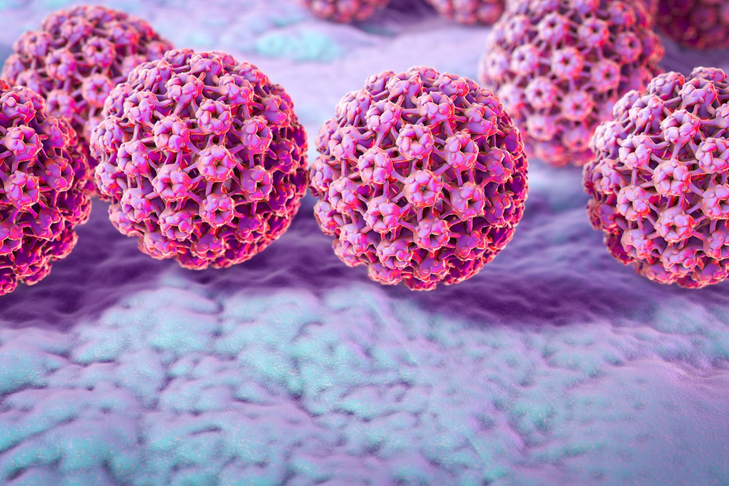 HPV