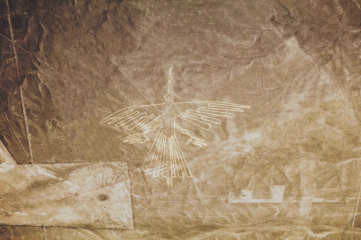 A geoglyph of a bird, seen from the air
