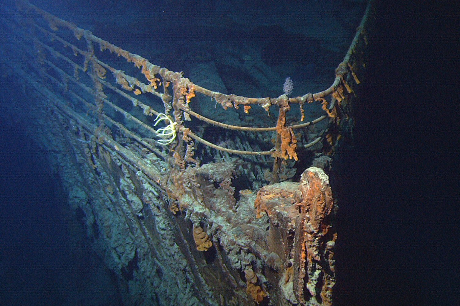 The bow of RMS Titanic, as seen in 2004.