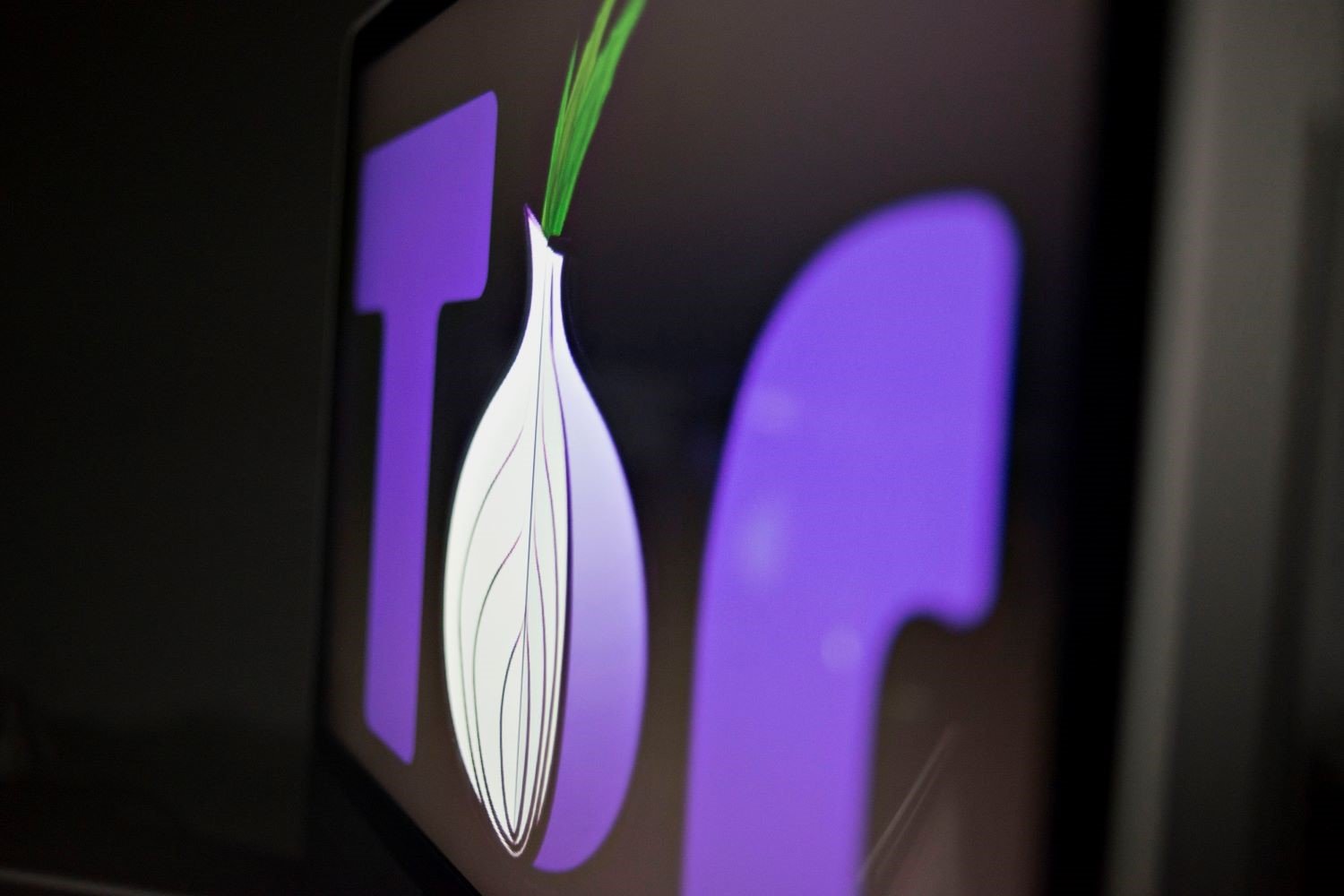The Tor Project logo in purple font with an onion for the O.